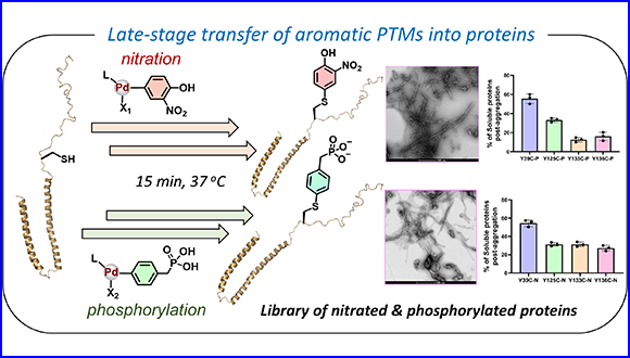 A Versatile Method for Site-Specific Chemical Installation of Aromatic Posttranslational Modification Analogs into Proteins