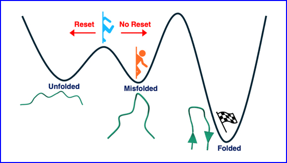 Accelerating Molecular Dynamics through Informed Resetting
