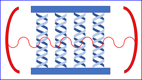 Cavity mediated enhancement of CISS in DNA junctions