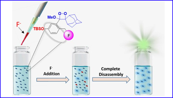 Chemiluminescence Molecular Probe with Intrinsic Auto-Inductive Amplification: Incorporation of Chemiexcitation in a Quinone-Methide Elimination