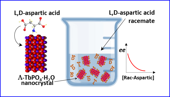 High Enantioselectivity in Adsorption of Chiral Molecules on the Surface of Chiral Terbium Phosphate Nanocrystals