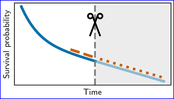 Inference of non-exponential kinetics through stochastic resetting