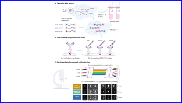 Machine-Learning-Based Single-Molecule Quantification of Circulating MicroRNA Mixtures