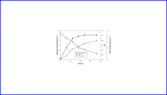 Macroalgal biomass subcritical hydrolysates for the production of polyhydroxyalkanoate (PHA) by Haloferax mediterranei