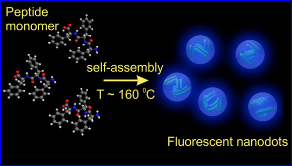 Single Fluorescent Peptide Nanodots