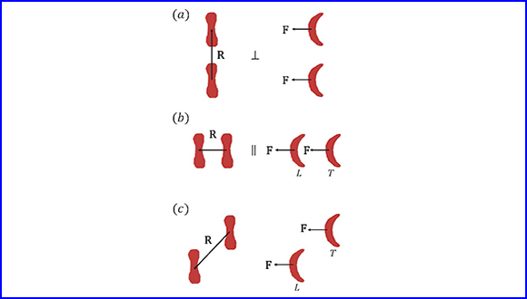 Symmetry properties of nonlinear hydrodynamic interactions between responsive particles